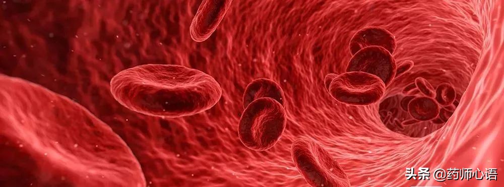 尿毒症3种食物要少吃,尿毒症年轻化3种食物要少吃