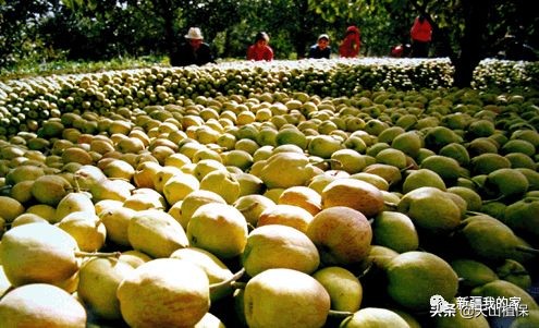 新疆南疆第一区阿拉尔地区,阿拉尔南疆重镇