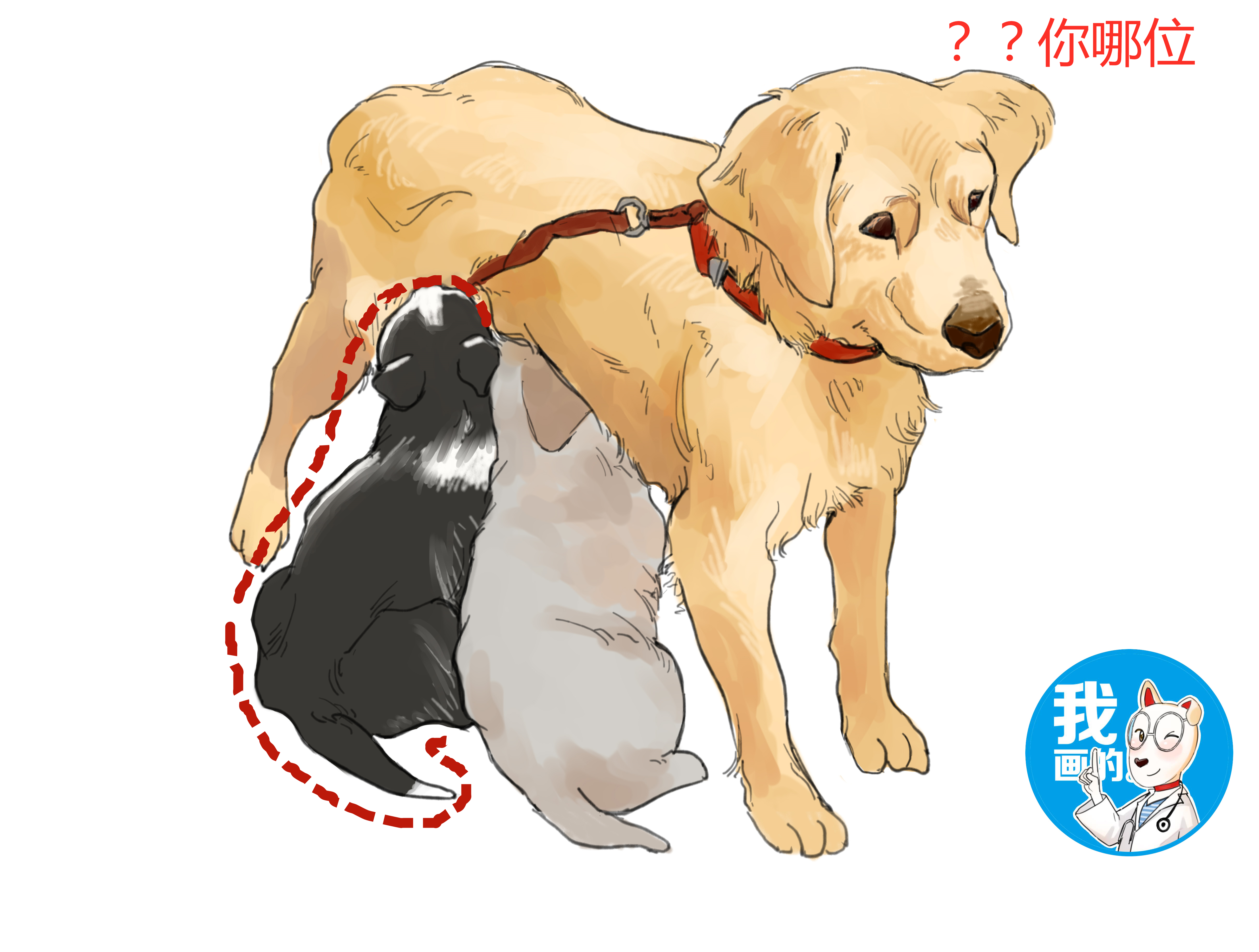 金毛正在喂奶,邻居却发现混入只不明生物,看清后直言要收费