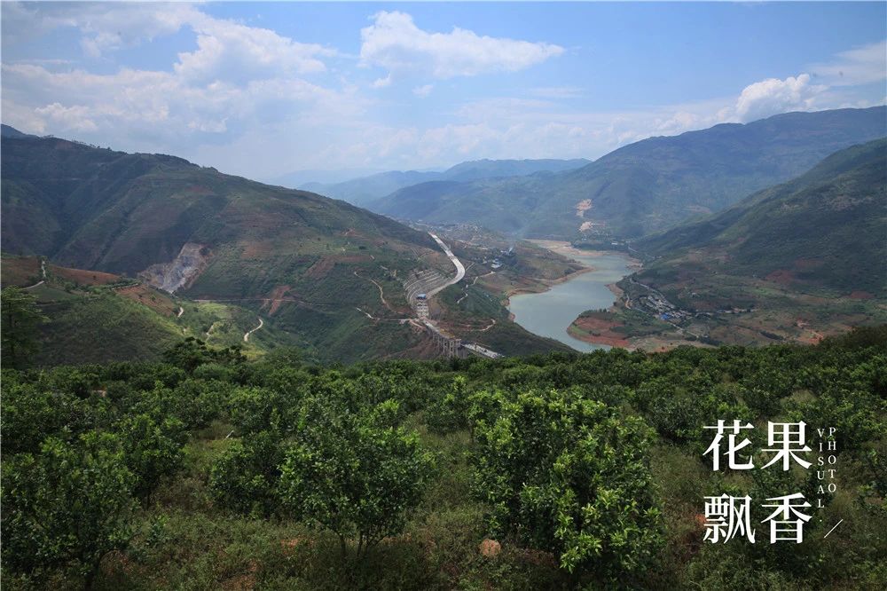 果园建园,果园选址规划