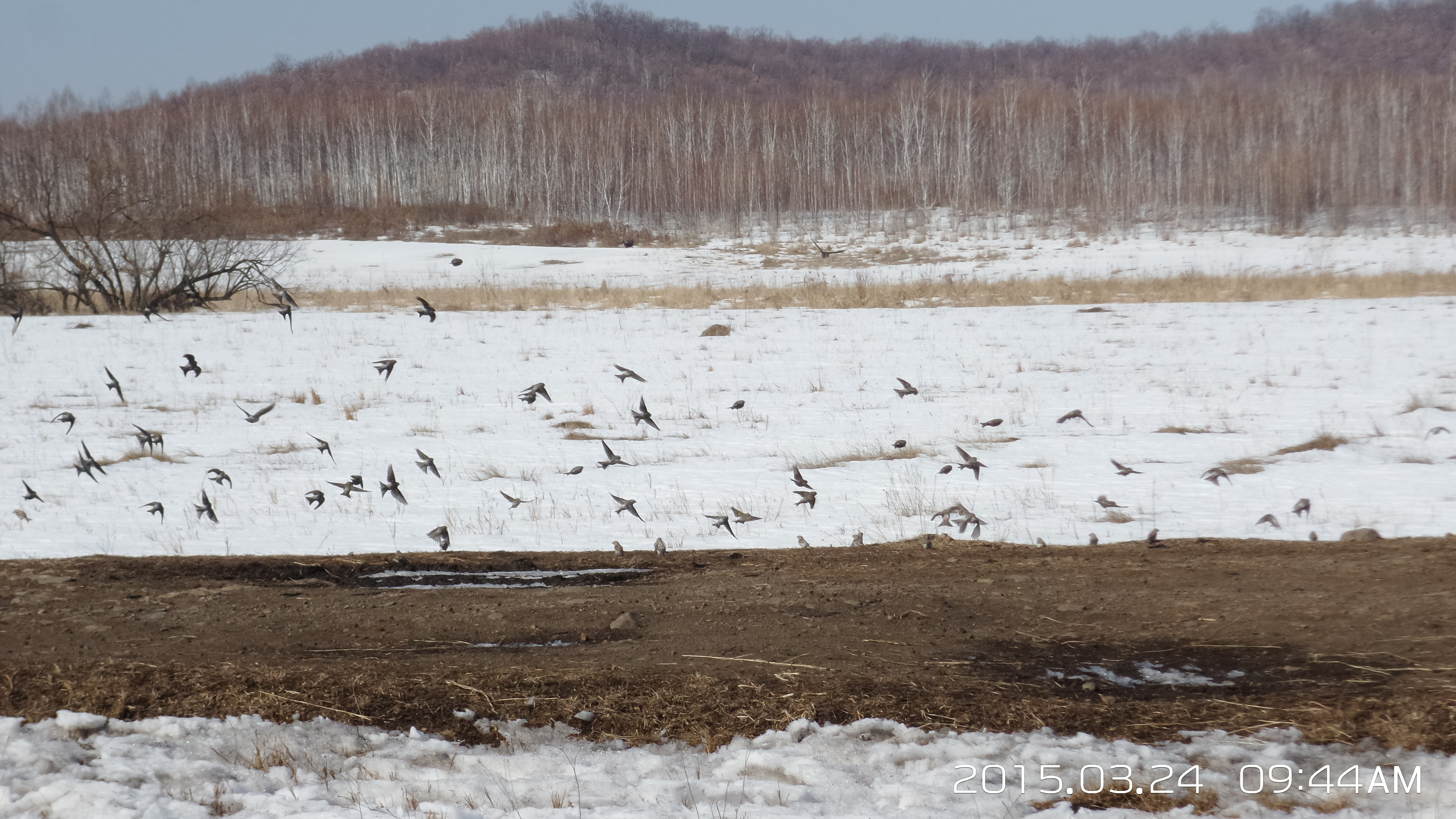 大山里的苦日子视频,你见过最苦的生活是什么样的