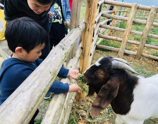 安顺金鸡农庄生态园,安顺田园农庄