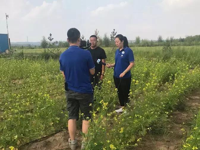 从偏远的小村庄又来到繁华的城市,从穷乡僻壤到人间仙境蝶变