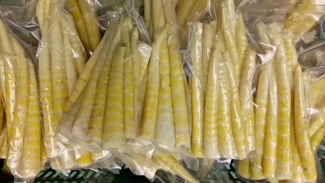 雅安周末旅游推荐,9月的第一场旅行