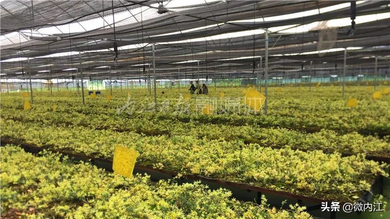 厉害发明专利,厉害了中国的技术