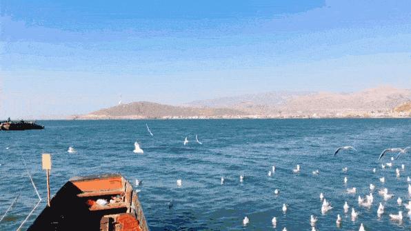 沈阳出发云南旅游攻略,从广州出发云南旅游攻略