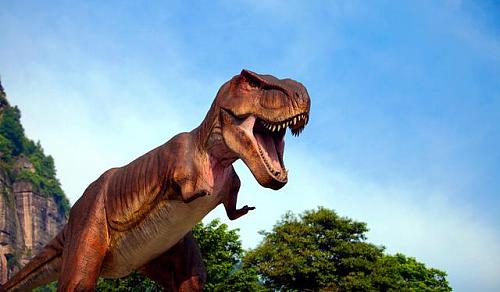 重庆綦江五一节旅游攻略,重庆綦江旅游全攻略自由行