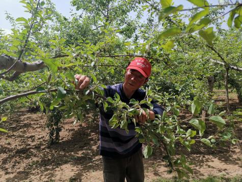 鲁山县脱贫攻坚先进个人事迹,脱贫攻坚带领农民致富的先进事迹