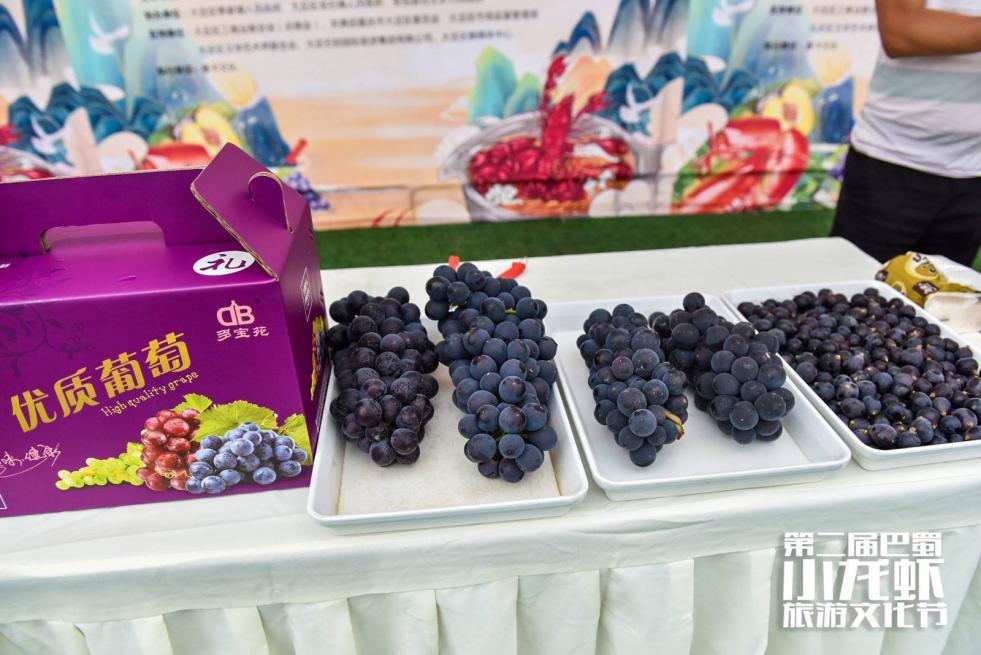 巴蜀文化旅游节,第二届柑橘旅游文化节