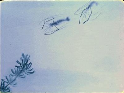 一部16年前的国产神作,一部被误读了30年的国产神作