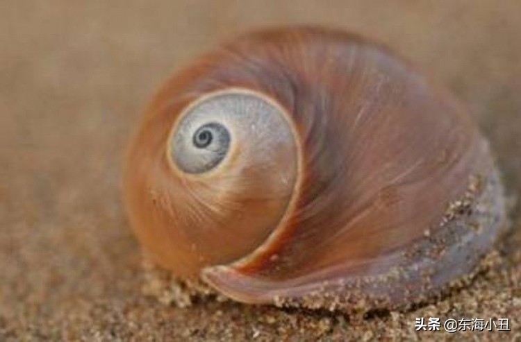 摄影中线条构图,摄影黄金分割理论