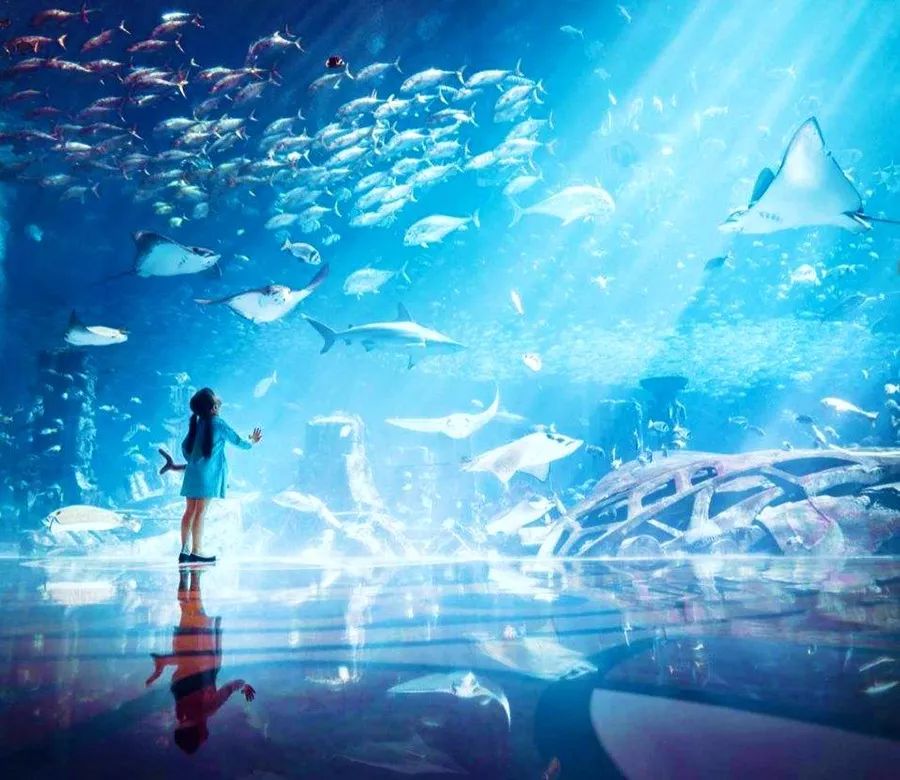 三亚亚特兰蒂斯玩什么,三亚亚特兰蒂斯游玩全攻略