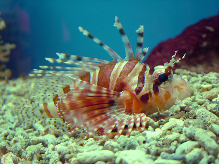成都海底世界极地海洋馆照片,成都最出片的海洋馆
