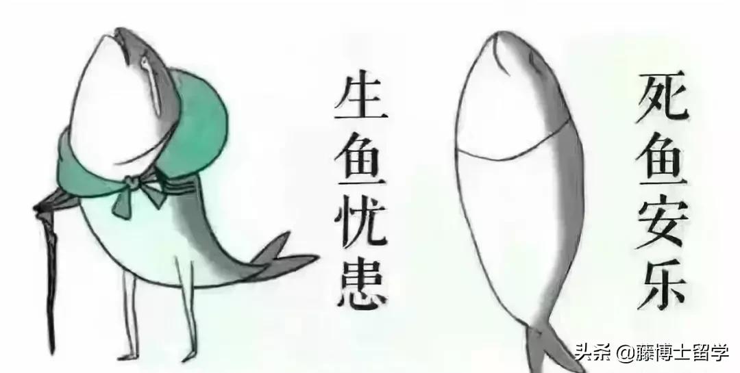 出国留学究竟值不值——在美十年经历告诉你