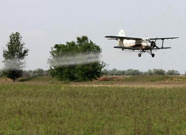 最让人害怕的昆虫,大自然最可怕的动物