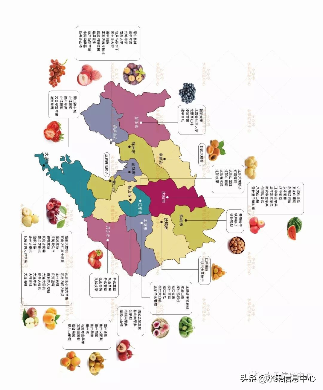 辽宁水果地图,辽宁的各种水果