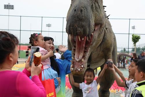 首届中华紫藤花文化旅游节,首届紫藤花旅游节