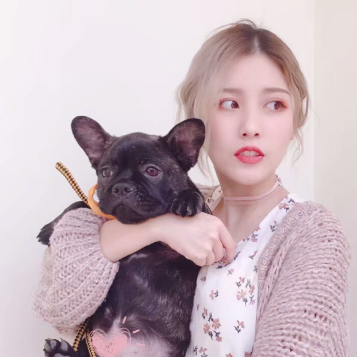 遇到恶狗袭击该怎么办,遭遇恶狗袭击不能以暴制暴