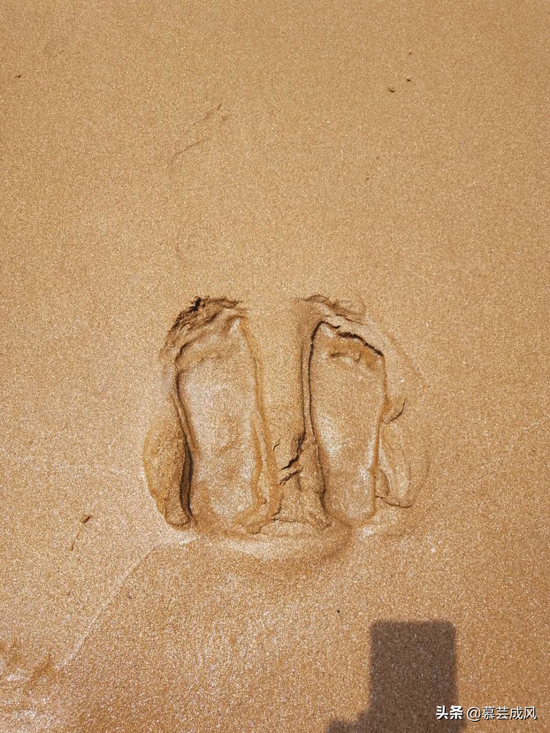 自由行去枸杞岛,枸杞岛自由行