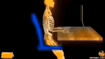 斜方肌正确的拉伸方法,拉伸斜方肌最简单方法