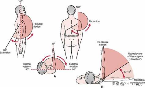 “得肩胛骨者得天下”——如何提高肩关节稳定性