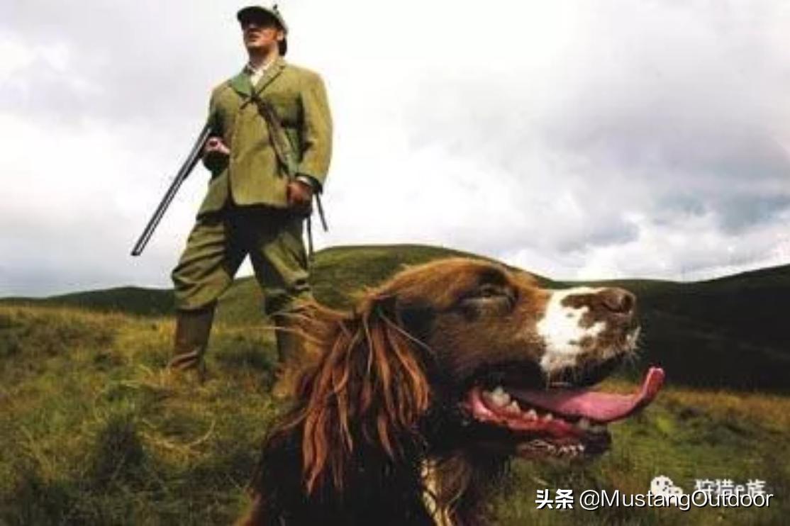 浅谈教学心得体会,浅谈心得