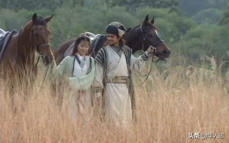 中国地主在新西兰:有人坐拥万顷良田,有人卖掉北京房,牧马放羊