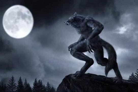 狼人传说真相揭秘,狼人传说真的存在吗