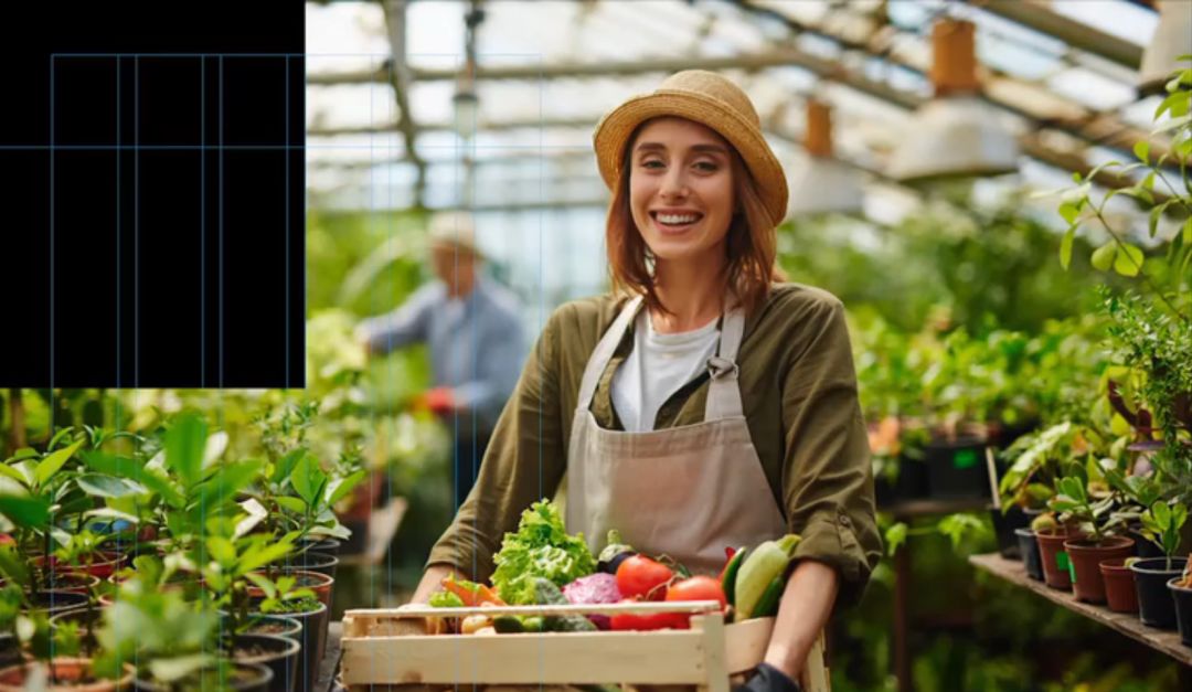 设计布局大全,设计师布局技巧