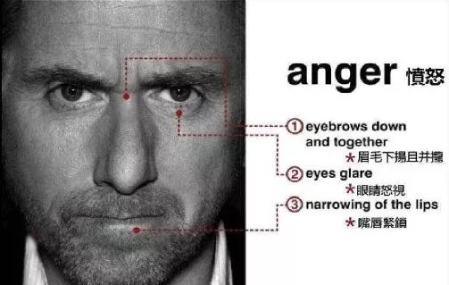 匹诺曹原本的鼻子,匹诺曹因为什么长出了鼻子