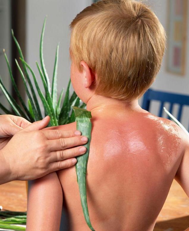 芦荟胶被神化,目前好用的芦荟胶