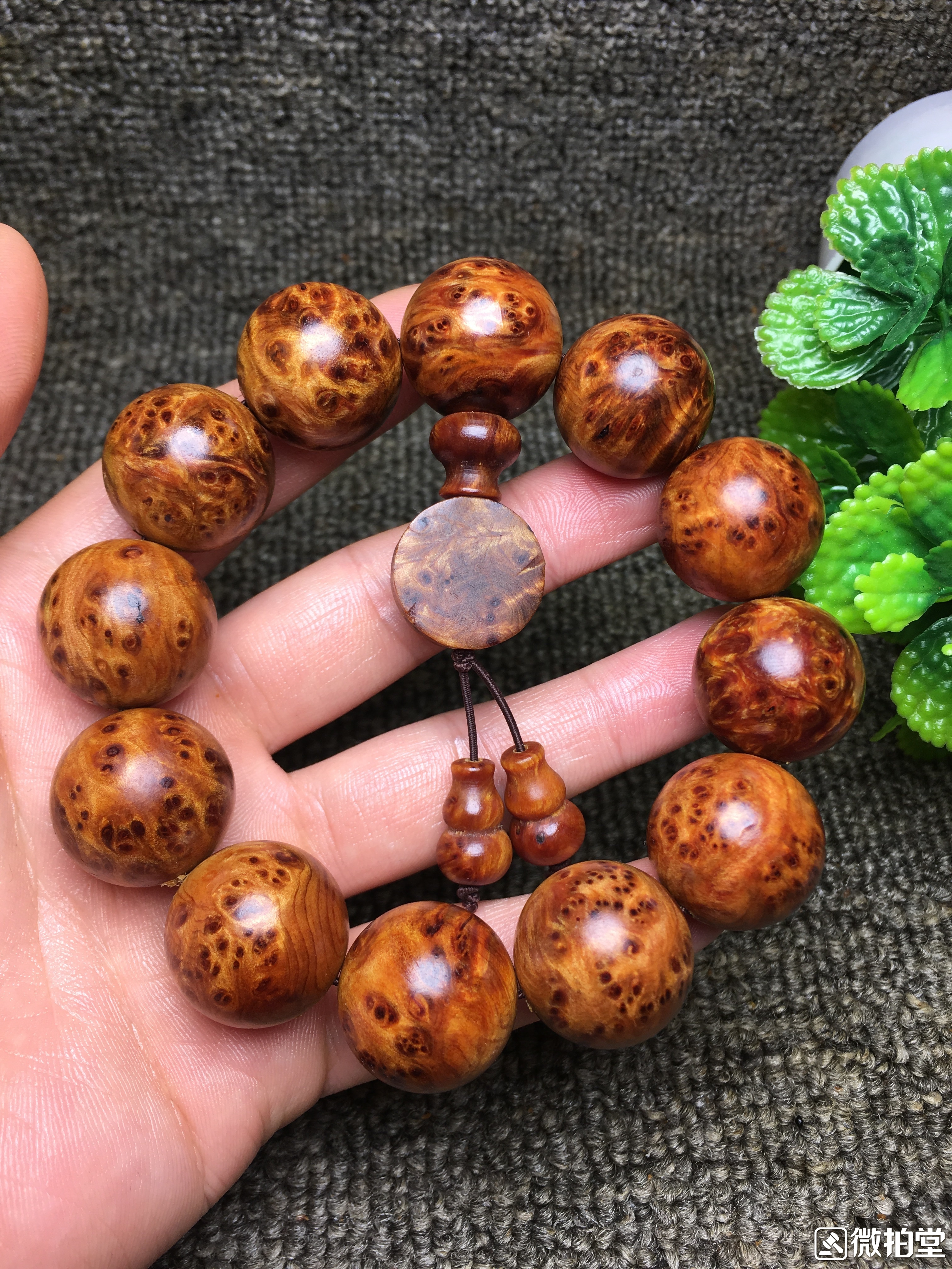 沉香保命崖柏救命,沉香好还是崖柏好