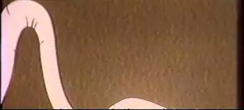 鸡蛋的结构科普小知识,鸡蛋孵化的知识科普