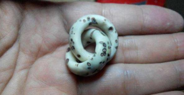 千眼菩提是怎么结的果,千眼菩提和别的菩提区别在哪