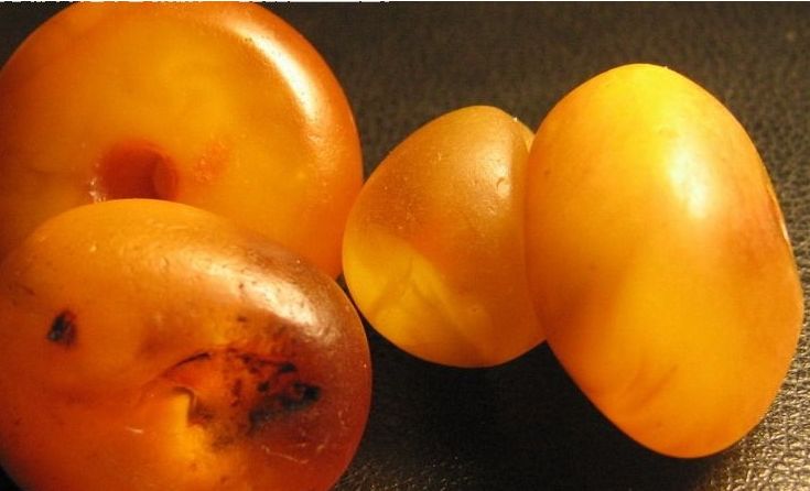 琥珀蜜蜡亿万年,琥珀蜜蜡之旅