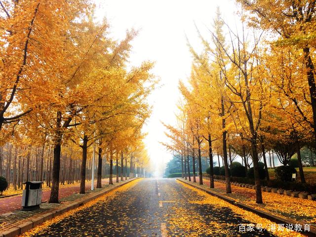 东北财经大学会走下坡路吗,东北财经大学财政学实力