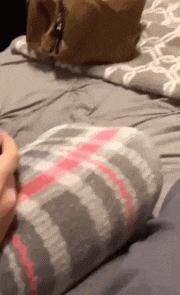 只能亮度调亮才能看得懂的梗,调高亮度才能看懂的梗