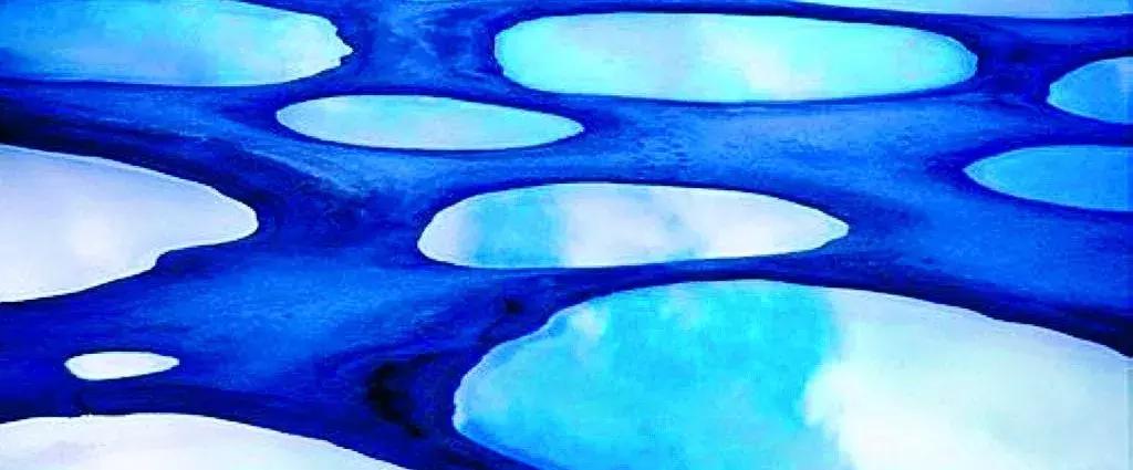 听说过斑马、斑点狗，你听说过斑点湖吗？