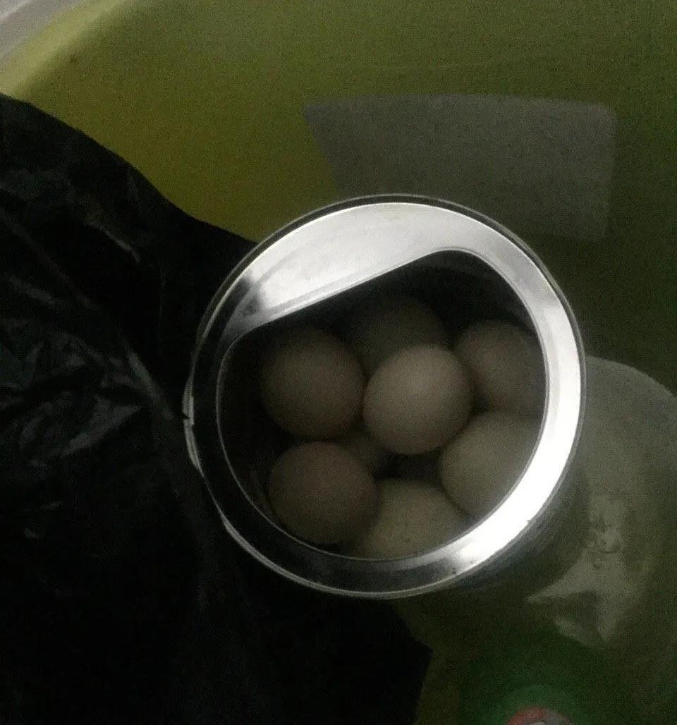 四旬男子性侵岳母获刑3年8个月,四旬男子性侵岳母获刑三年8个月