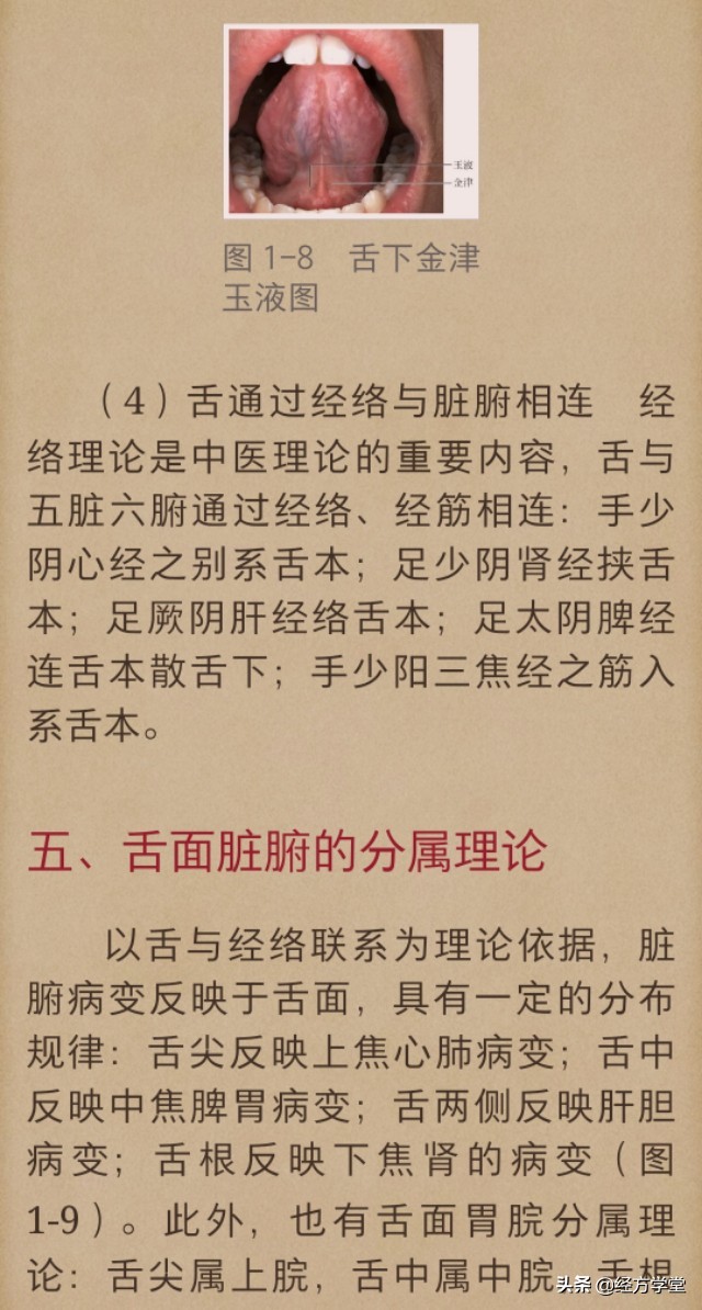 舌诊图片与经方治疗,中医舌诊系统学习