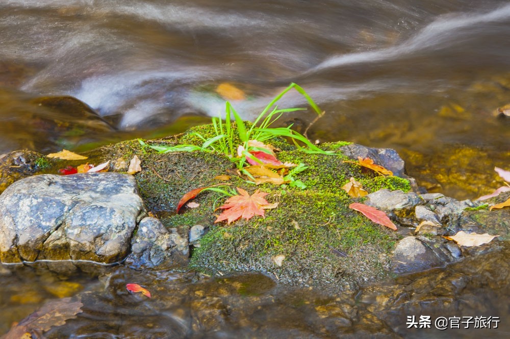 中华枫叶之路自驾游攻略,中华枫叶大道自驾游路线