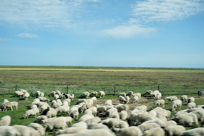去一趟大西北的旅行,大西北旅行青藏高原