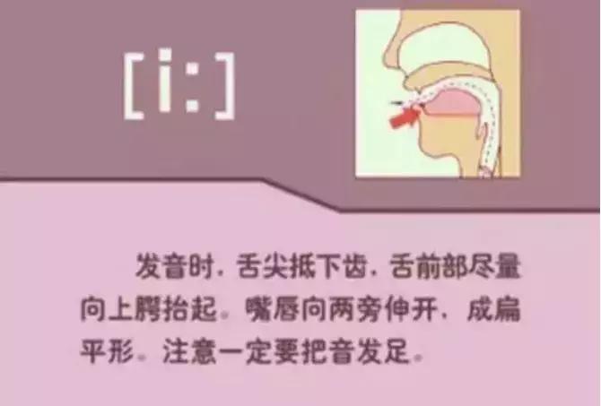 音标发音48个正确发音口型,小学英语音标发音48个口型