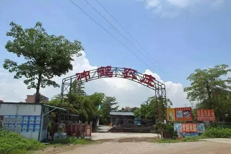 顺德适合10-15人聚会的餐厅,顺德聚餐推荐餐厅10人以上