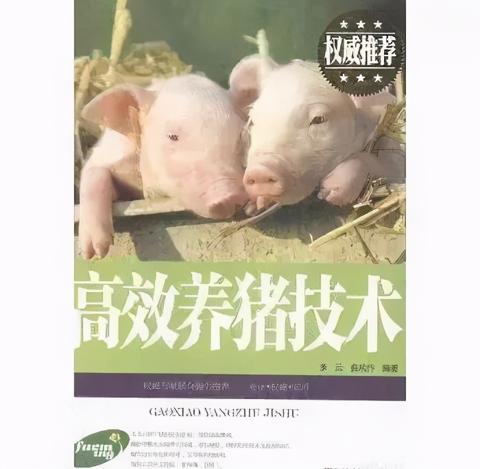 亲身经历过哪些坑,亲身经历致命骗局