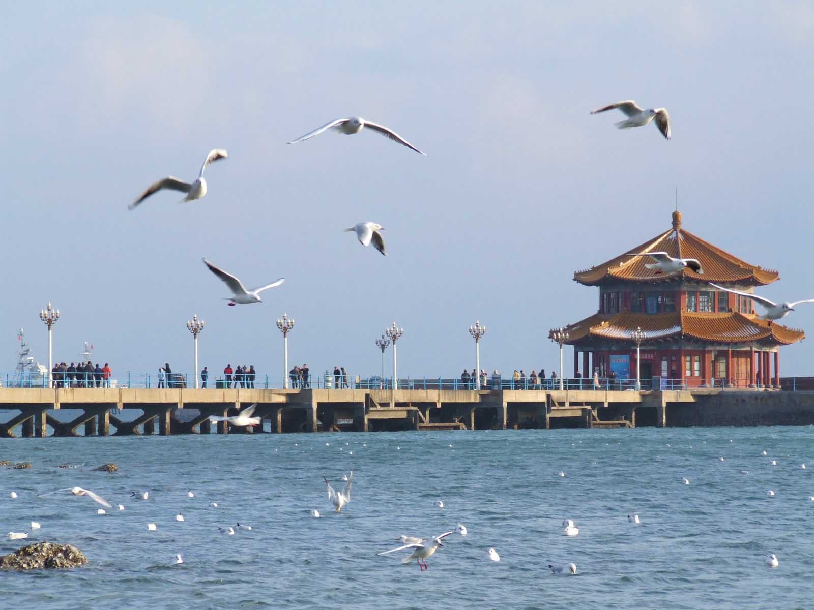 上海选调生2022选调高校名单,上海市定向选调高校范围