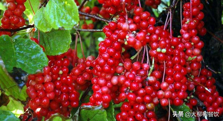 商洛山阳县十大特产,山阳县干货特产