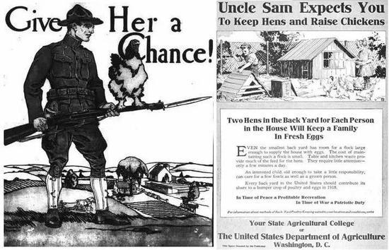 做一只鸡简单的教程,教你怎么做一只好吃又好看的鸡