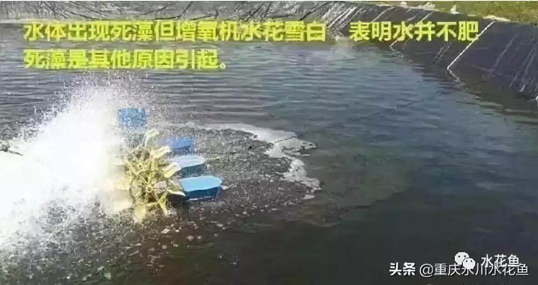 水产养殖水质评价标准,水产养殖水质怎么查看的