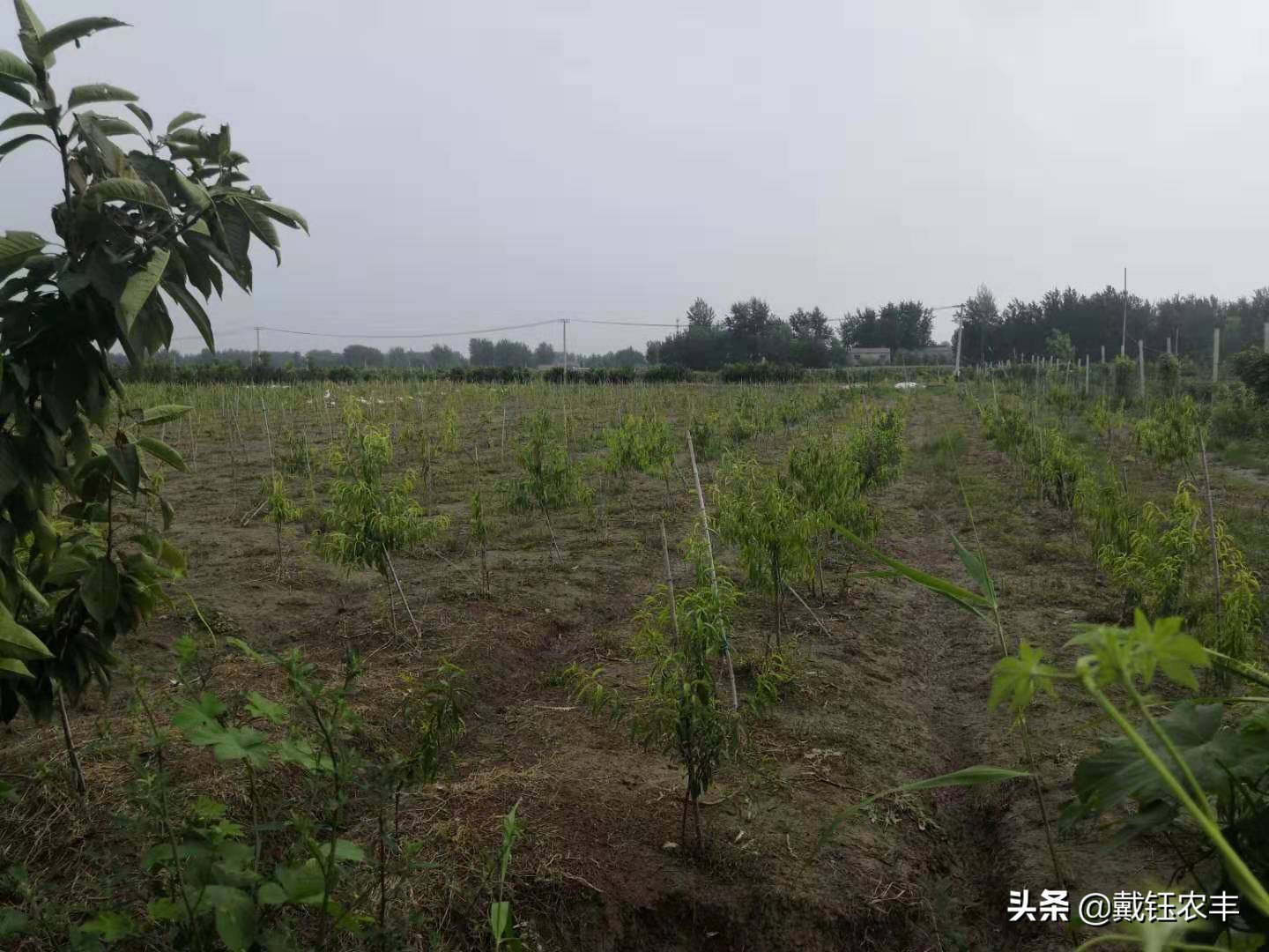 台风利奇马被水淹,利奇马台风水淹几米